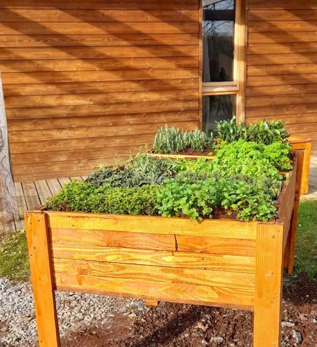 Gite Classe Deux Etoiles Gite De France N 17 Signy-Le-Petit Ngoại thất bức ảnh