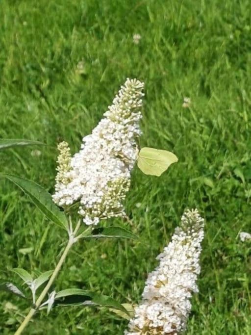 Gite Classe Deux Etoiles Gite De France N 17 Signy-Le-Petit Ngoại thất bức ảnh